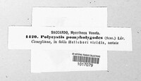 Image Associated With the Occurence